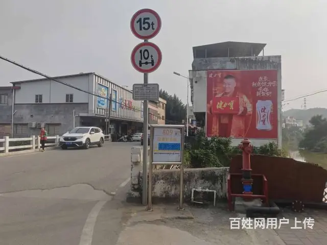 驻马店墙体广告,枸杞户外墙体广告,横行乡里 - 图片 3
