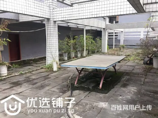 （优选铺子）平昌信义大道1800平独栋出租(400起租） - 图片 12
