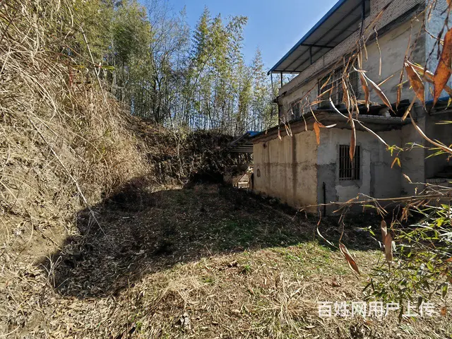 自建二层小洋房 - 图片 5