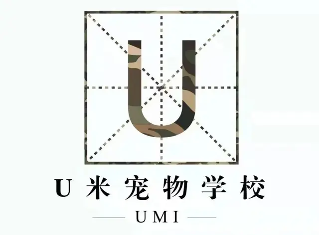 专业宠物训练 行为纠正 护卫犬 影视犬 工作犬训练 - 图片 6