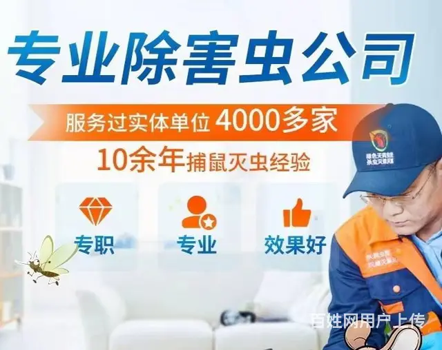 除百虫除四害灭蟑螂、灭蚂蚁、灭老鼠、灭蚂蚁 - 图片 1