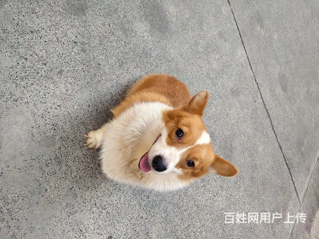 孩子住校不想养了 - 图片 1