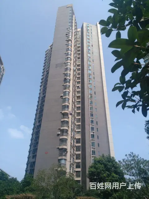 东湖春树里 岳家嘴地铁口 山河大厦 中北路直达汉街 - 图片 12