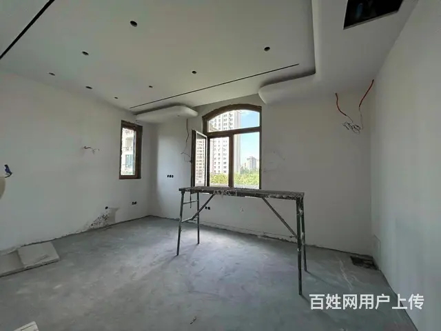 群力溪岸艺墅3带5叠墅 290米五室 豪装820W带两车位 - 图片 6