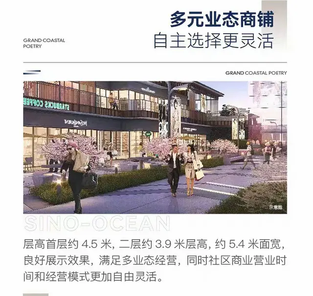 远洋海璟宸章沿街旺铺仅33席位火爆吉售 - 图片 7