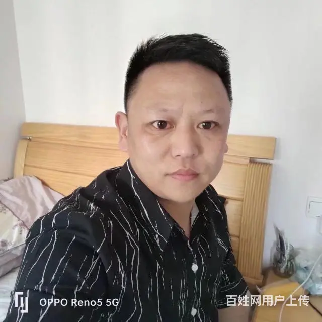 征婚交友 - 图片 4
