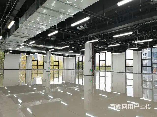 四层5700平独栋办公楼  沈阳国际软件园甲方招商 送免租期 - 图片 7