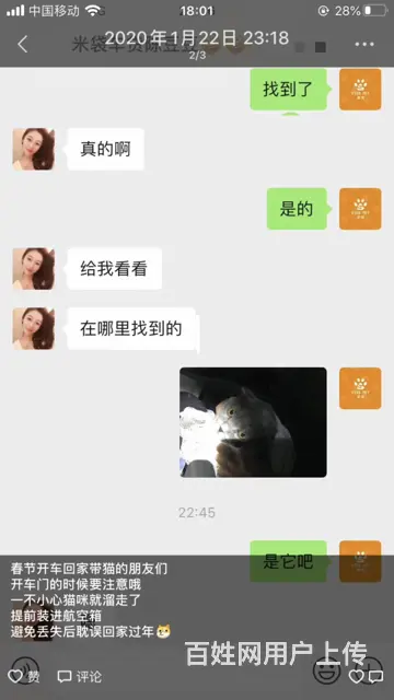 苏州猫咪丢了怎么找 专业找猫寻狗团队来帮你 - 图片 3