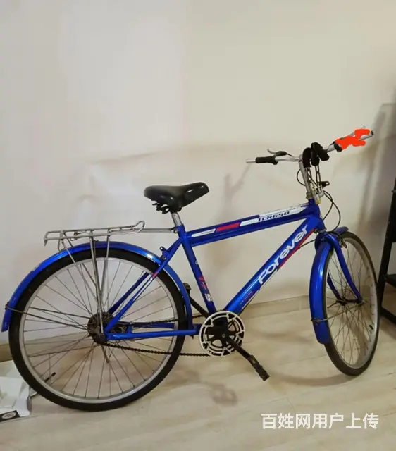 永久自行车 - 图片 2