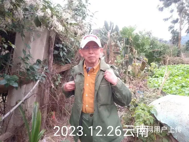 找个老伴度晚年 - 图片 2