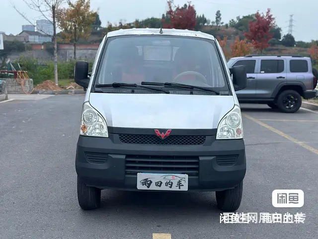 五菱双排换五菱宏光 - 图片 5