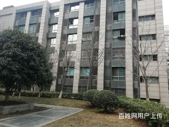 青山湾 双阳台毛坯两房 前排公园 人车分流 博小北 - 图片 12
