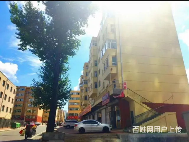 可以陪读 - 图片