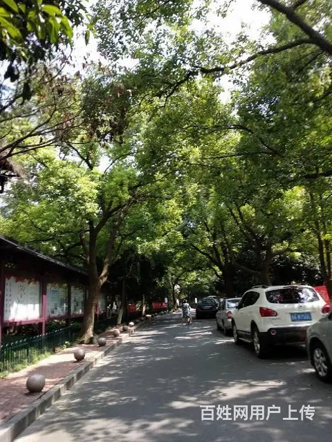 绝对靓盘！正规高性价比精装修翠苑一区 - 图片 10