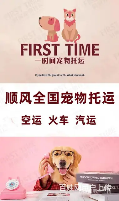 2022推荐）常州市到全国）宠物托运（猫狗）邮寄快递（宠物活 - 图片 4