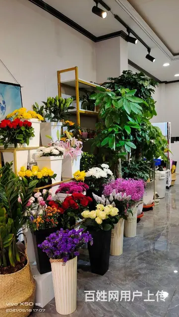 7586（七P）个人城中区莫家街马忠商务宾馆对面花店转让 - 图片 2