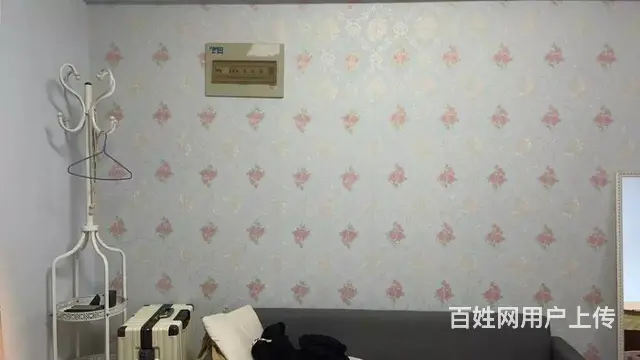 才子嘉都(雨花-汽车南站) 桂花坪地铁口（房东直租） - 图片 3