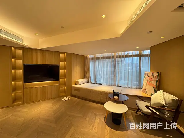 紧急出租欧美中心国际公寓1室81.00平 - 图片 4