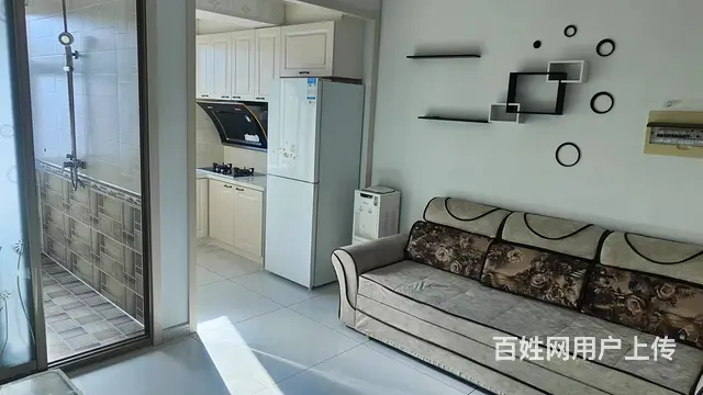 首次出租，凤栖园45平，1厅 中等装修6500每年 - 图片 6