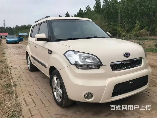 起亚 秀尔 2010款 2.0 手动 GLS - 图片 1
