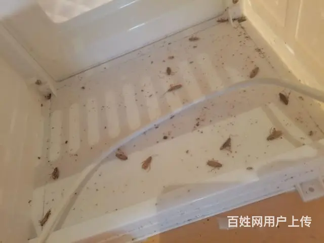 益民轩（厦门）环境服务有限公司 - 图片 4