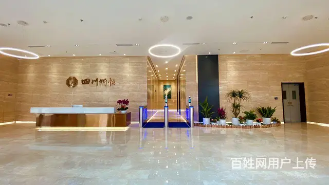 天府菁蓉中心兴隆湖低密阔办公全装全配环保办公家居 - 图片 11