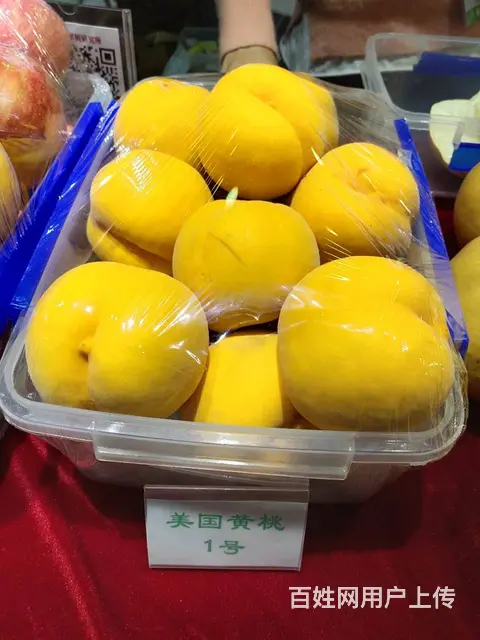 出售桃树梨树苹果树花椒树大叶女贞国槐果树苗绿化树苗 - 图片 10