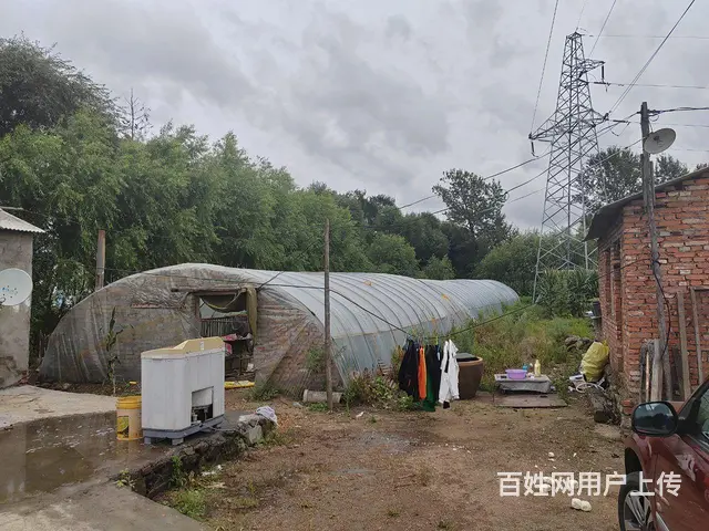 养殖牛羊，打造自己的领地 - 图片 2