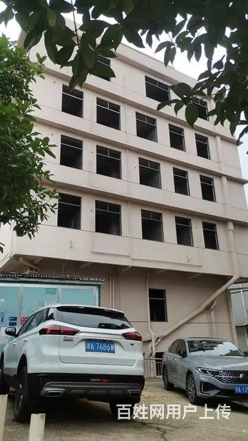 临空产业区整栋房屋出租 - 图片 6
