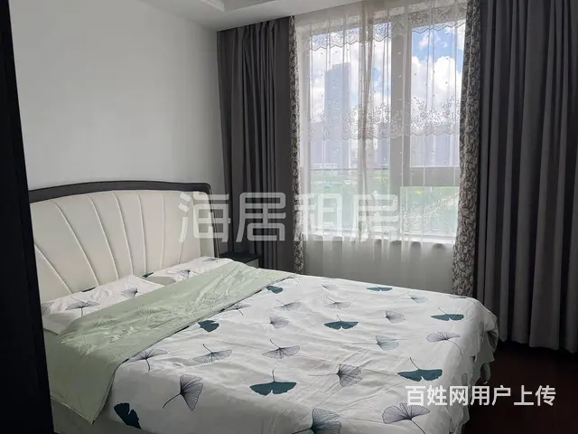 武汉站旁 东湖边 近东湖天屿 湖北日报 岳家嘴 徐 - 图片 10