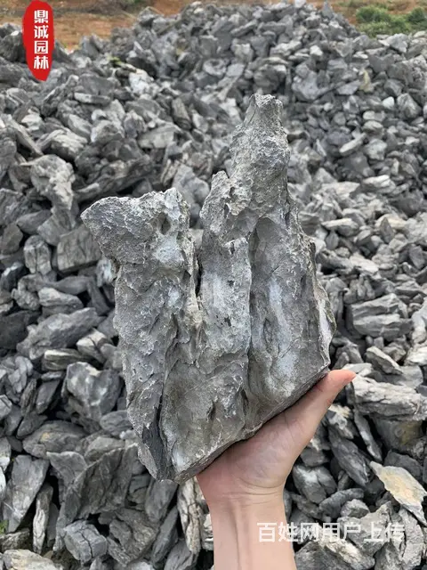 英石青龙石鱼缸摆放假山盆景园林风景制作石材 - 图片 3