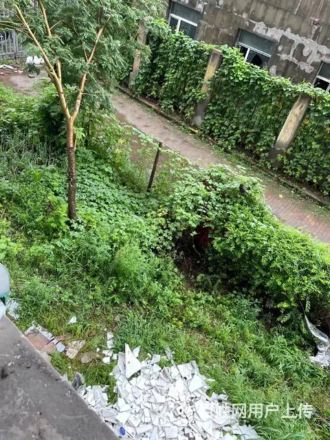 【搞定了！】香坊立汇美罗湾门市可出租可出售没有行业限制 - 图片 2