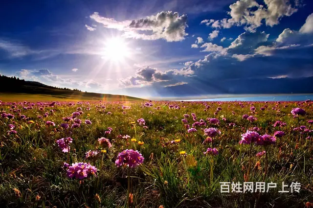 康辉旅游 游最美新疆 - 图片 5