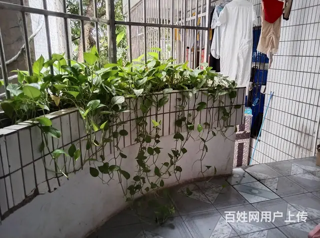 （51旺铺推荐）广场路西门外150平四房一厅托管中心转让 - 图片 7