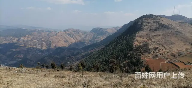 九合团建——登山挑战赛 - 图片 5