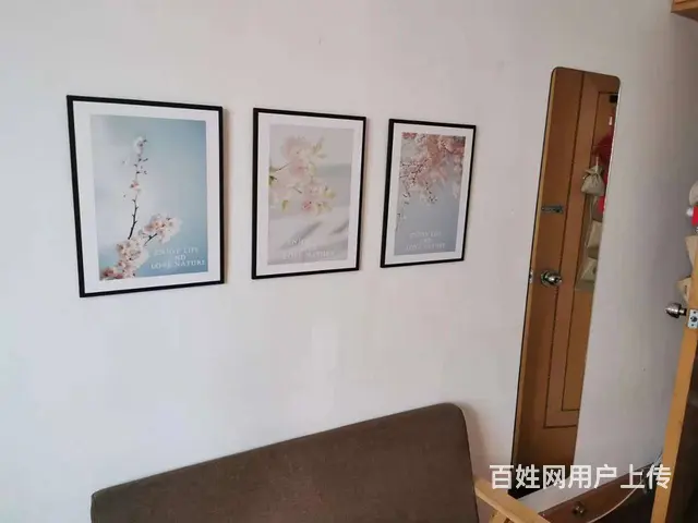 地铁房花东二村(武进) 普通住宅1厅 简单装修 - 图片 2