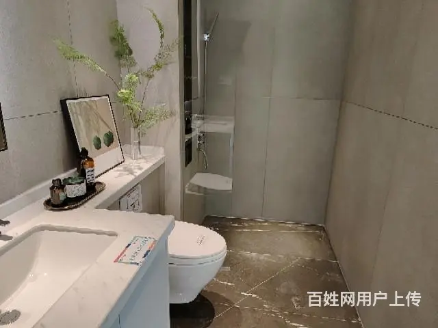 海湖新区33万起，独立一室一厅，支持贷款 - 图片 3
