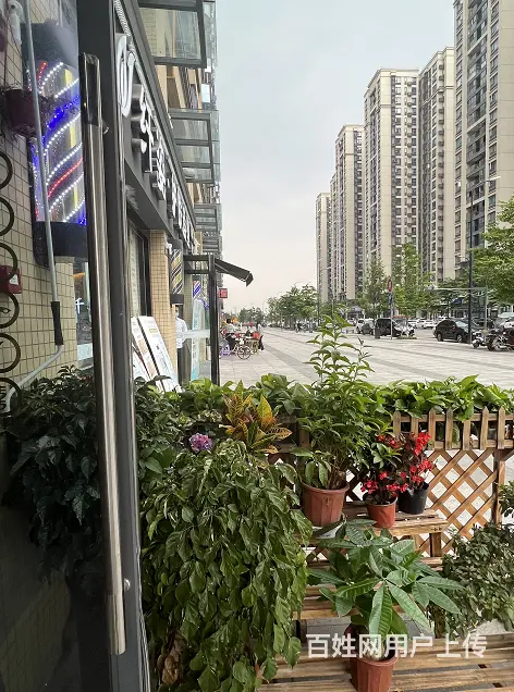 XSY 几十栋高档社区环绕底商旺铺可空转 - 图片 3