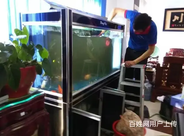 全昆明免费上门鱼缸清洗 鱼缸造景 鱼缸维修 - 图片 1
