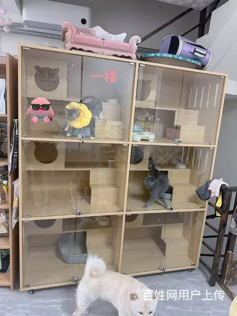 宠物店出兑 店铺转让 - 图片 5