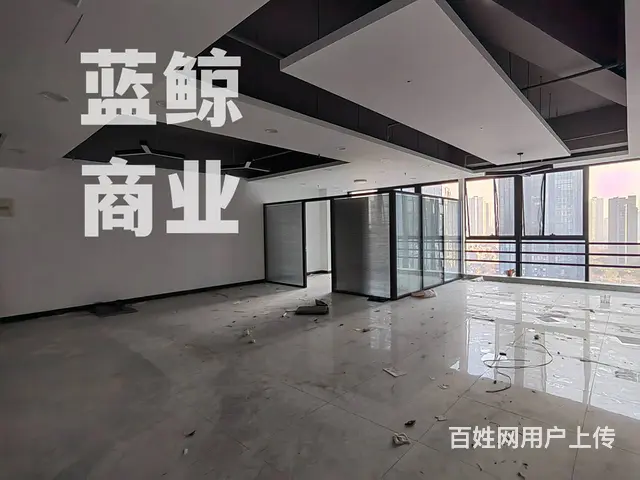 绿地商务城600平纯办公出租 - 图片 8