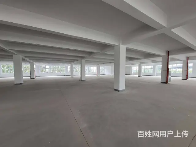 古里全新独栋厂房每层5300平，配有4部3吨货梯，有食堂宿舍 - 图片 5