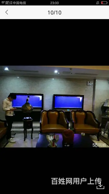专业清理公司，家庭，大型鱼缸。各类观赏鱼 - 图片 4