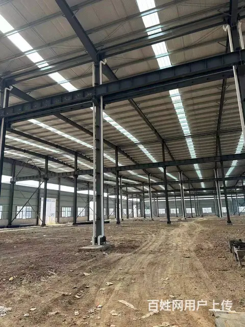 （城市在线找房免费）大彭工业园标准钢结构厂房出租（出售） - 图片 7