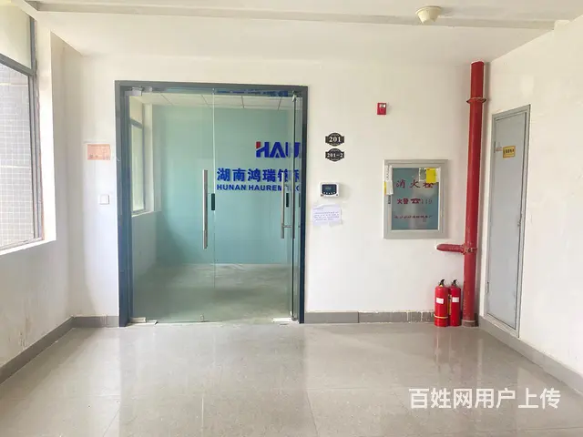 （房东直租）岳麓区枫林三路340平精装工业园厂房低价出租 - 图片 4