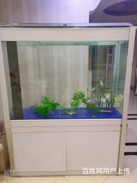 鱼缸 - 图片