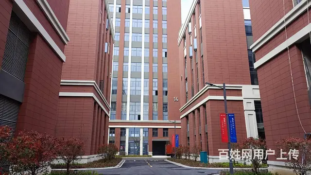 郑陆 智荟港 1200平 8.1米层高 独栋 国土厂房出售 - 图片 6