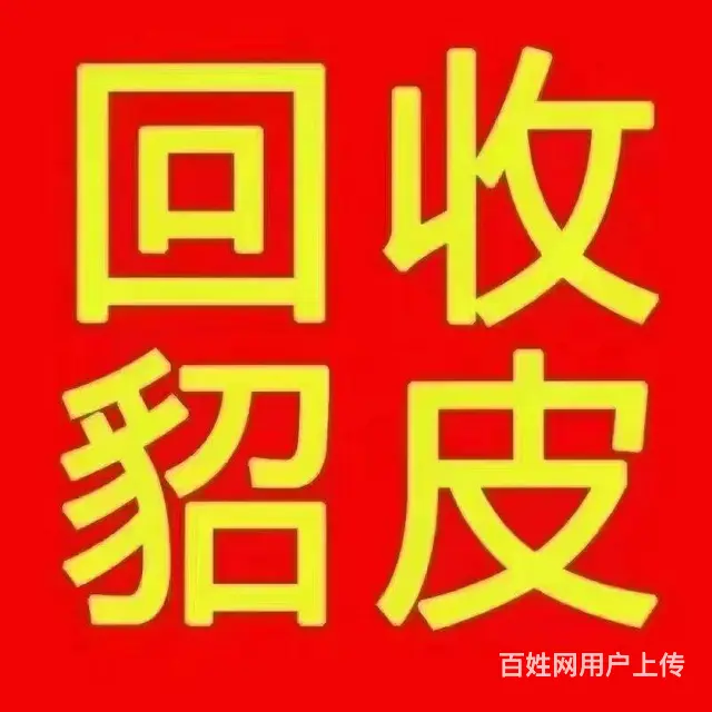 沈阳上门回收二手貂皮大衣 旧貂皮回收 高价回收貂皮 - 图片 2