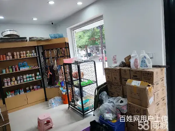 急转！邢台市桥东区南园路80平博爱宠物店 - 图片 3