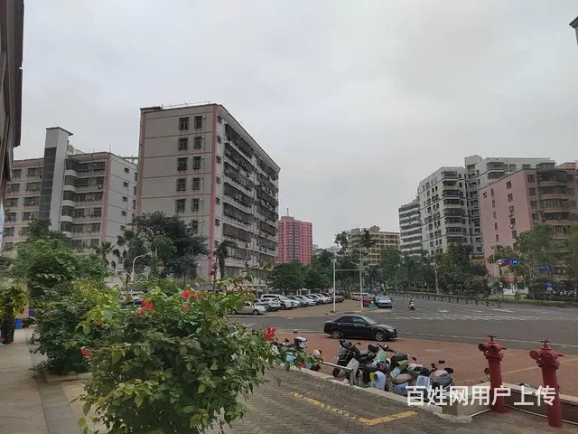 （51旺铺推荐）国瑞城20平品牌连锁洗衣店转让 - 图片 9